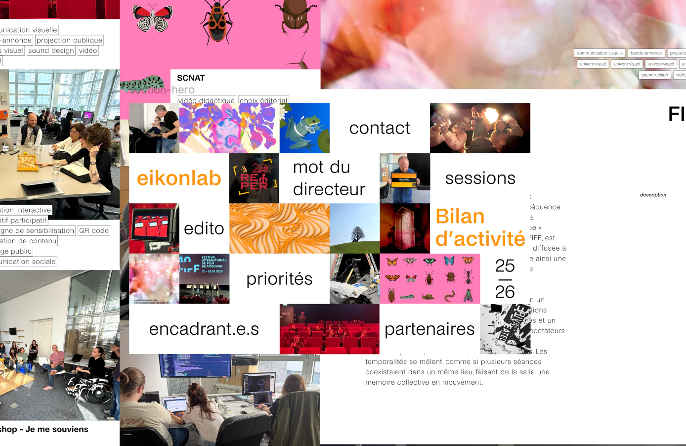 Bilan d’activités